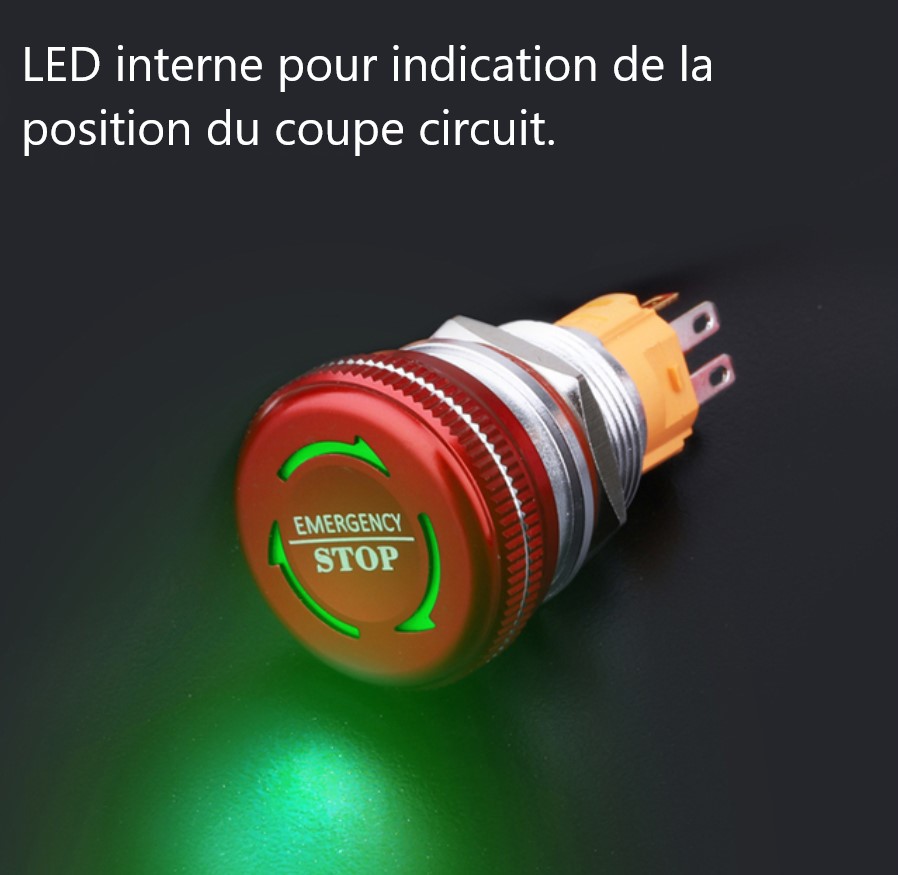 Coupe Batterie 100 AMP
